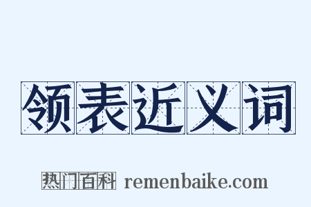 领表近义词是什么意思的图片